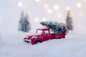 Toy car carrying tree after curbside pickup