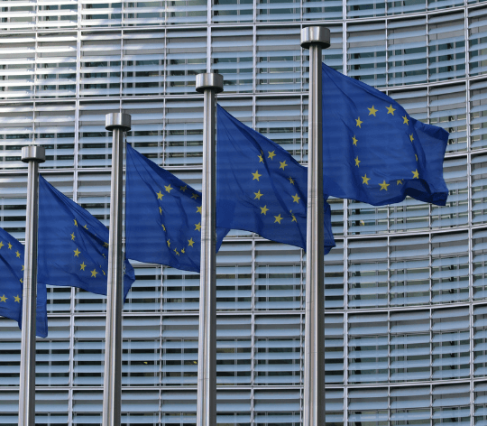Multiple EU flags outside building